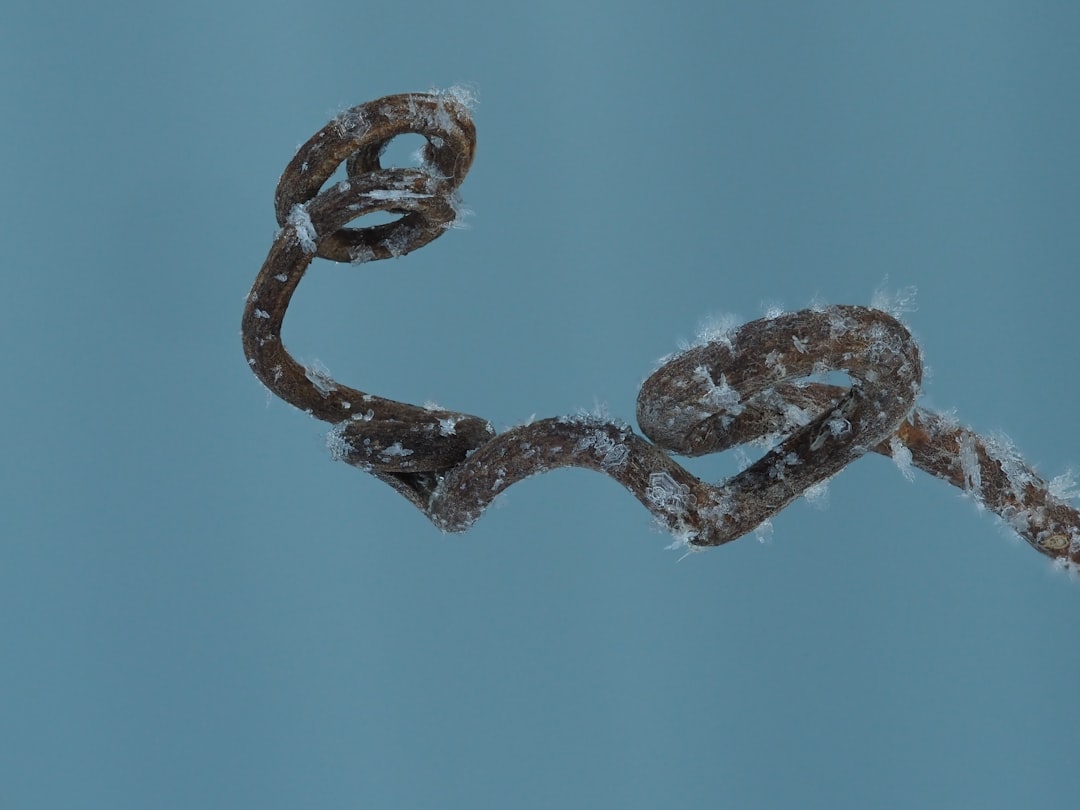 Hoeveel chromosomen heeft een mens: het bijzondere bouwplan van ons lichaam