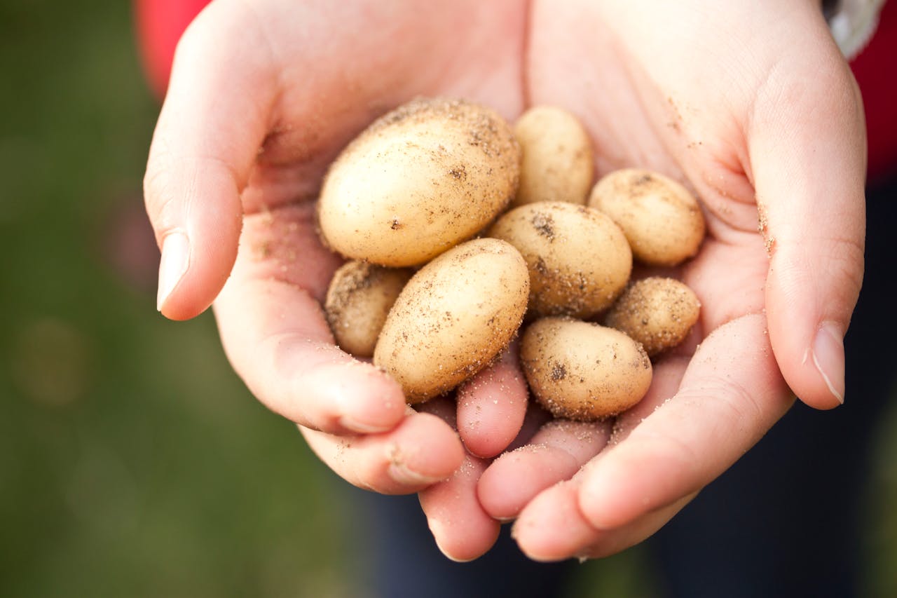 De juiste hoeveelheid aardappelen per persoon voor een gezonde lifestyle voor mannen